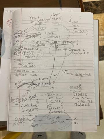 Neurochemistry