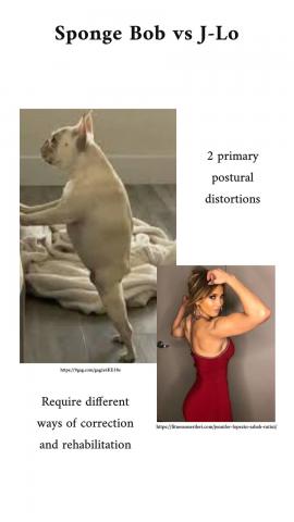 which one are you