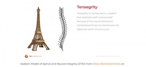model of understanding for the spine